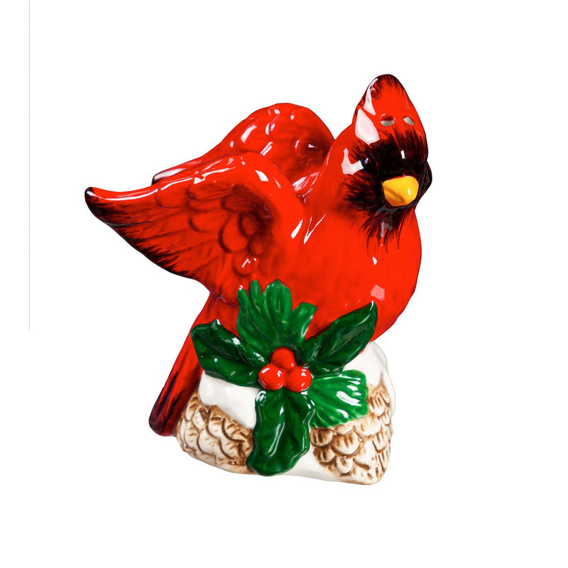 Salt and Pepper Shaker Set, Cardinal,3spc067