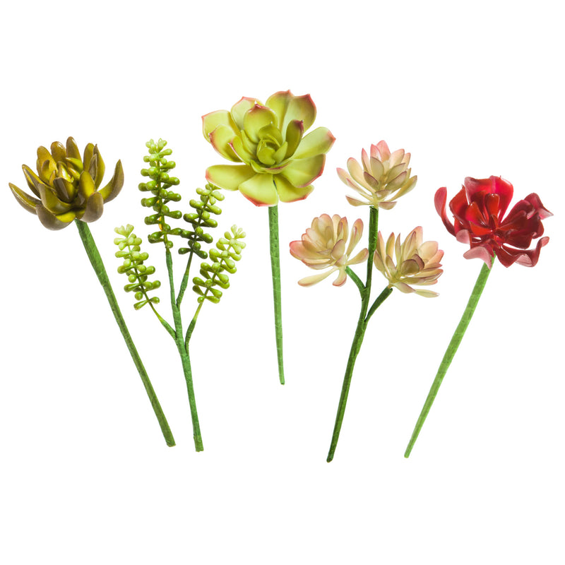 Cypress Home Succulent Decorative Stems, Set of 5-4 x 4 x 6 Inches