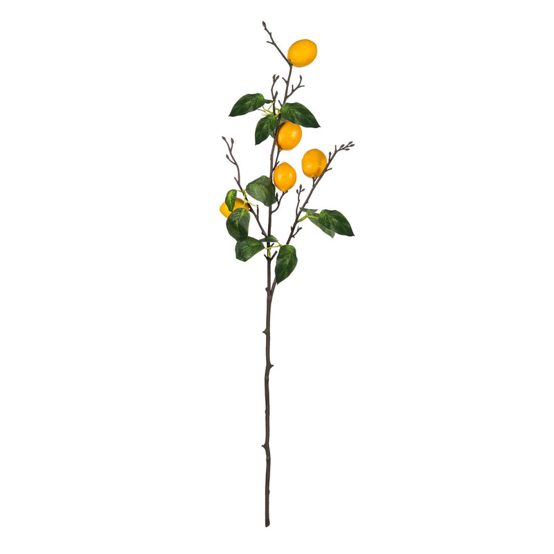 31'' Tall Lemon Stem,3sy087