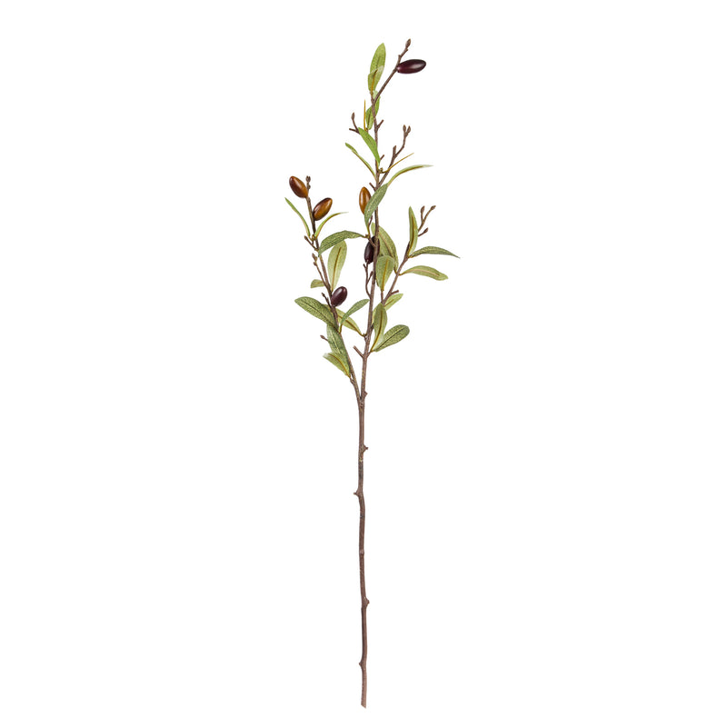 30'' Tall Olive Stem,3sy102