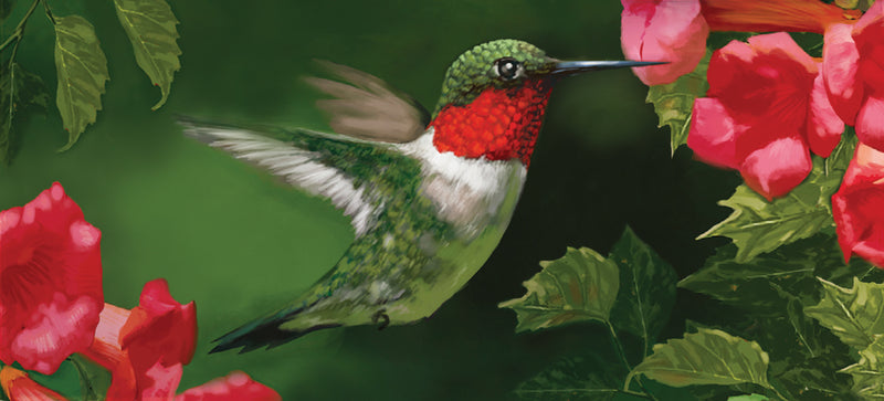 Hummingbird Closeup Sassafras Switch Mat