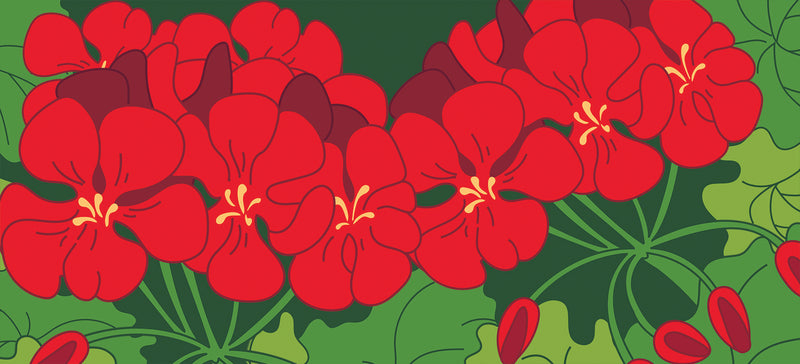 Geraniums Sassafras Switch Mat