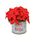 Home for the Holidays Metal Planter Nested Set of 3, 13.12"x13.12"x11.75"inches