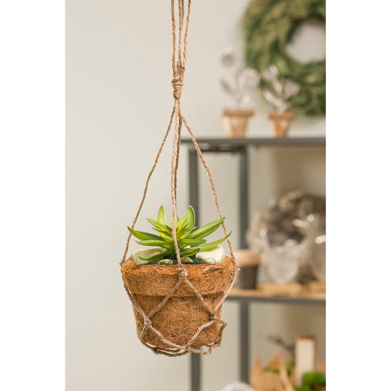 Succulent Arrangement in Coco Pot with Rope Hanger,4fl093