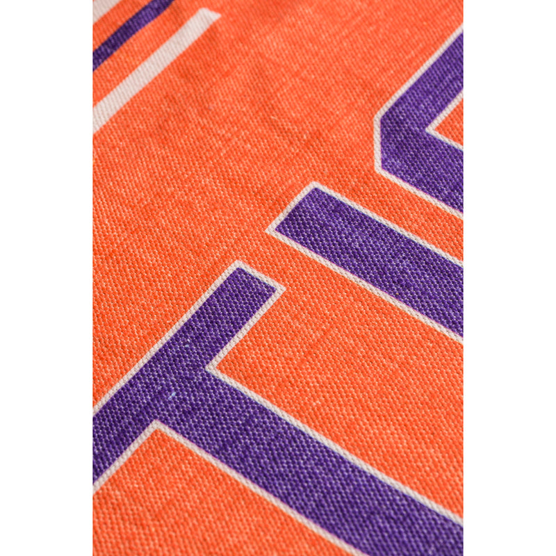 Clemson University, Indoor/Outdoor Rug 3x5,4ir912