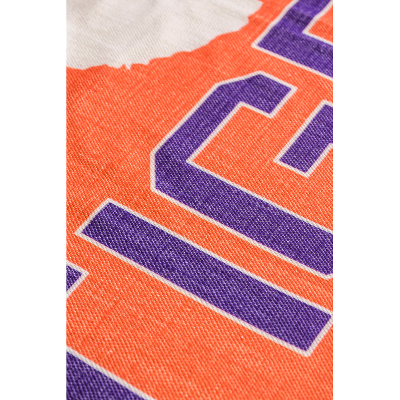 Clemson University, Indoor/Outdoor Rug 3x5,4ir912