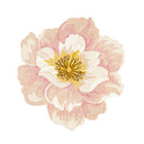 Shaped Hooked Indoor/Outdoor Rug, Pink Dogwood,4or201