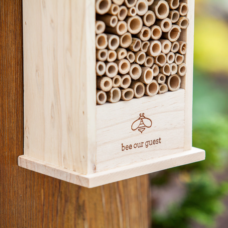 Natural Wood Bee Habitat, Bee Our Guest,5bh215