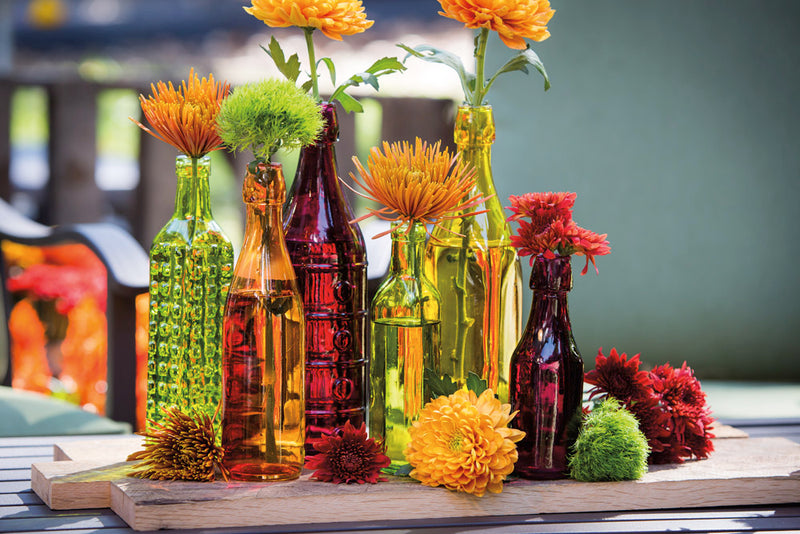 Decorate Your Garden, Glass Bottle, set of 6,845518