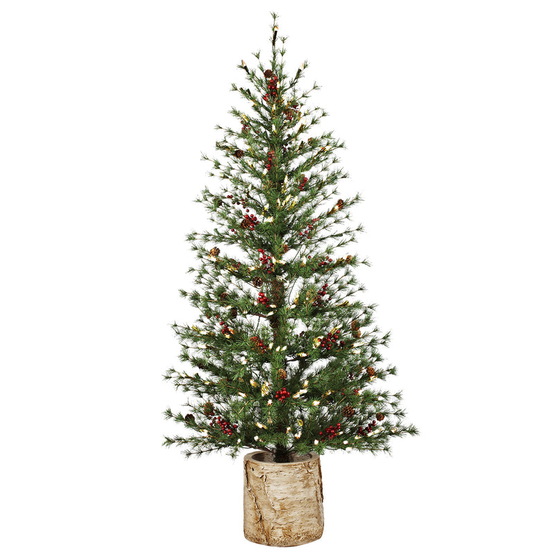 60"H Lit Artificial Christmas Pine Tree with Resin Birch Pot,84g3127