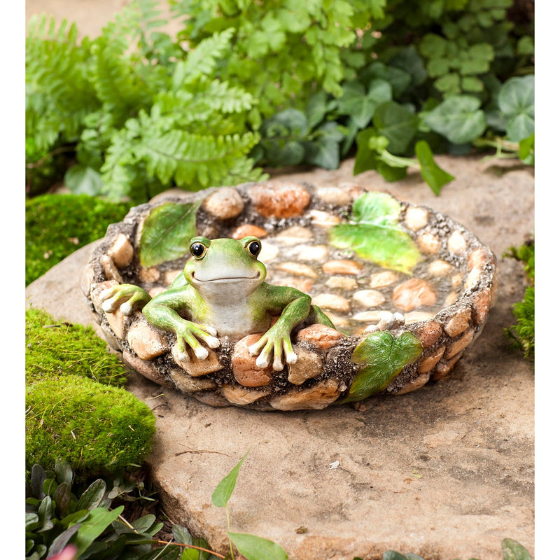 Evergreen Bird Bath,Happy Frog Tabletop Birdbath,10.5x10x4.75 Inches