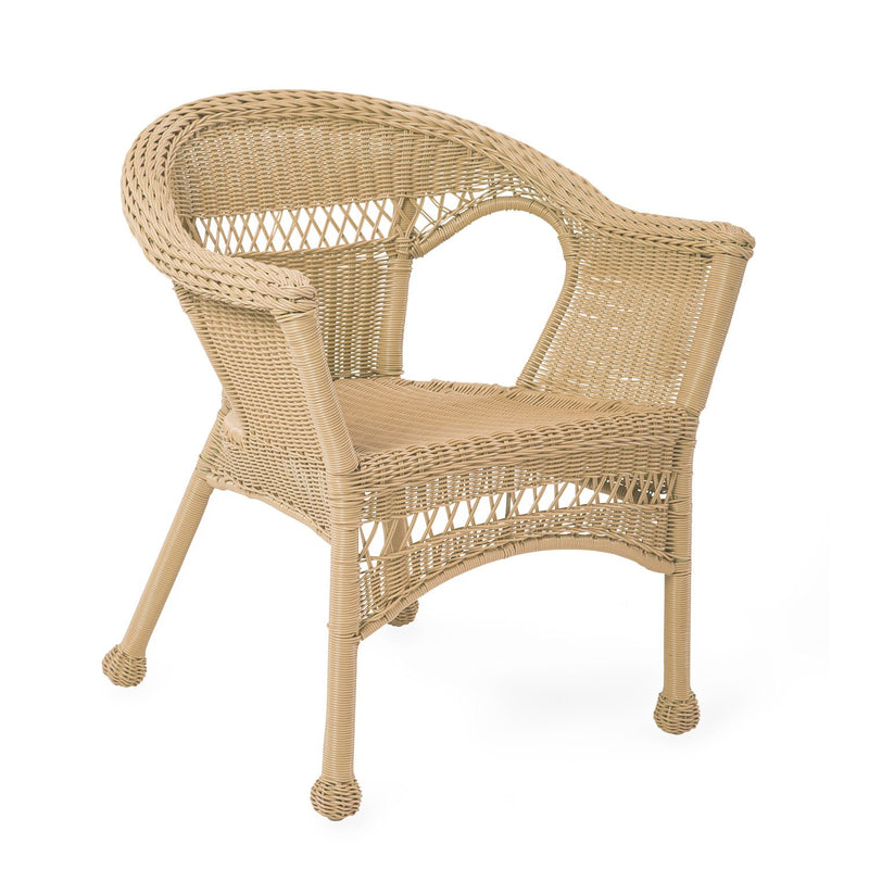 Easy Care Resin Wicker Chair - Natural,8f00516