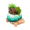 Ceramic Turtle Planter with Succulent,8flp160