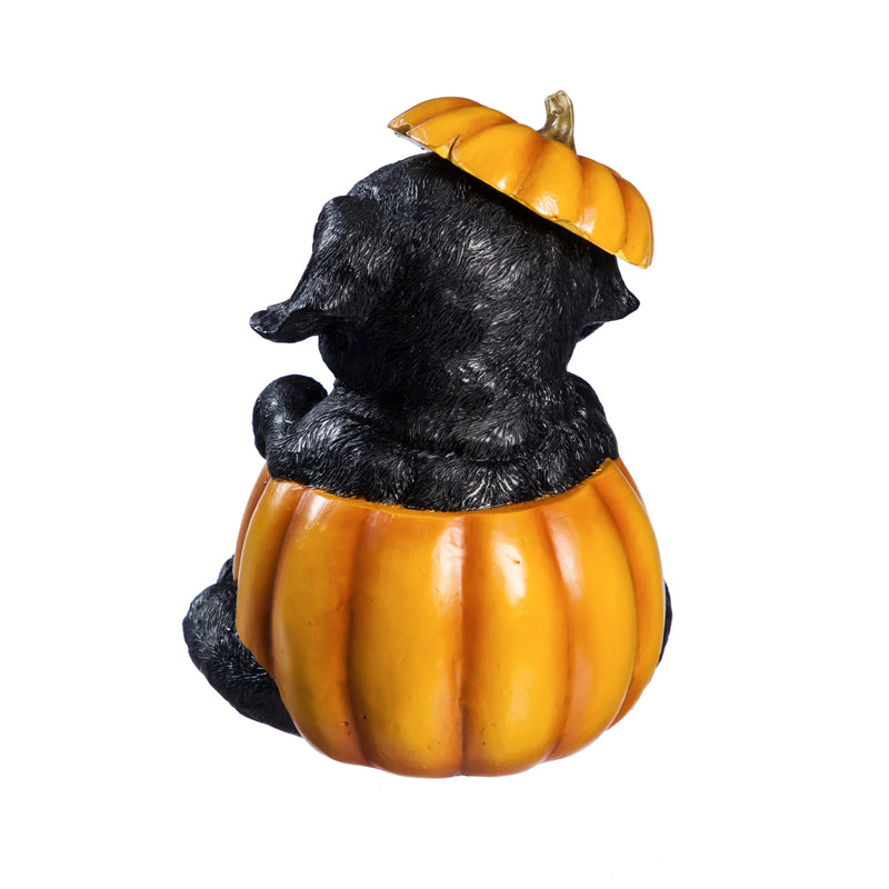 Resin LED Pumpkin and Dog Tabletop Décor, 4 Asst,8led541