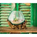 Glass Planter on Driftwood,8prm002