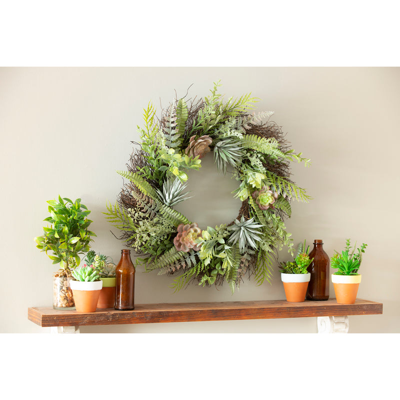 22" Succulent and Fern Spiral Vine Wreath,8wr219