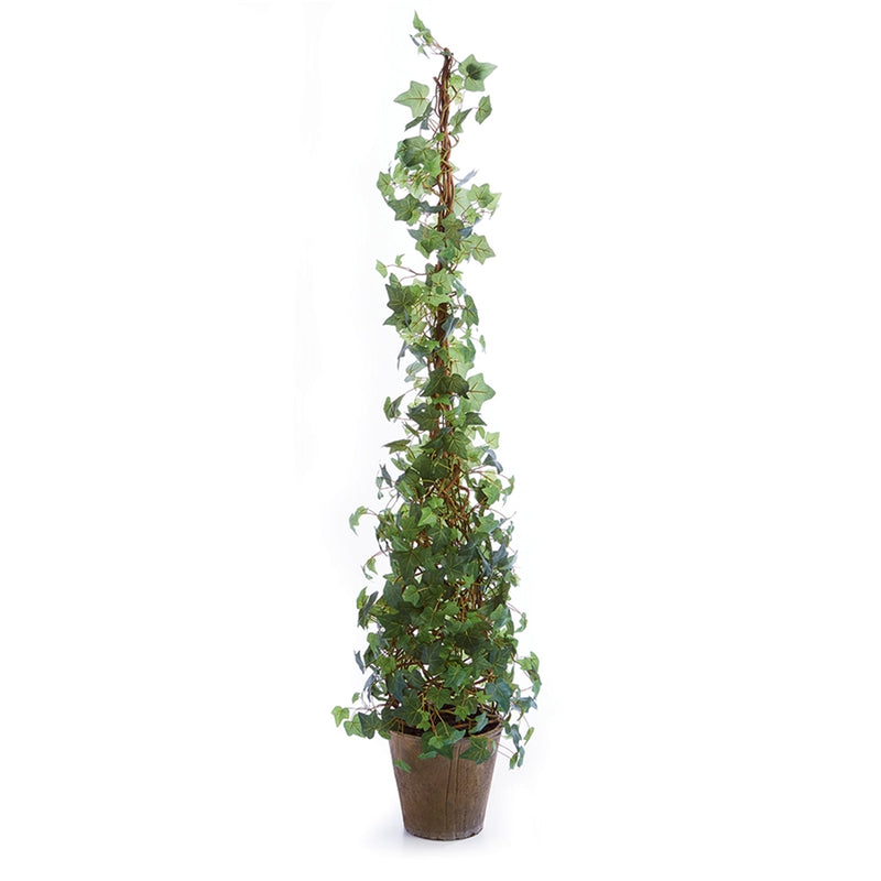 Napa Home Garden, IVY 62" CONE TOPIARY POTTED,cc229