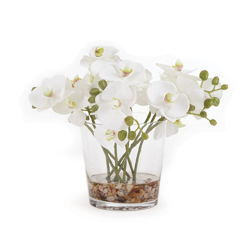 Napa Home Garden, PHALAENOPSIS 8.5" ARGMT IN VASE WH,cc275wh