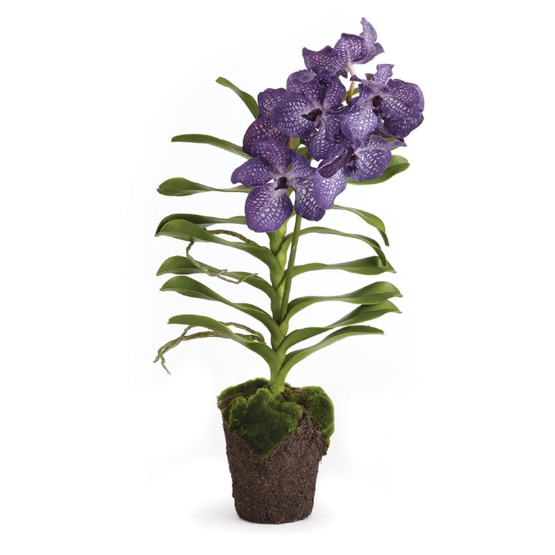 Napa Home Garden, VANDA DROP-IN 30" BLUE/VIOLET,cc281