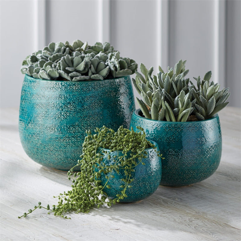 Napa Home Garden, CC 6.5'' SUCCULENT DROP IN,di1245