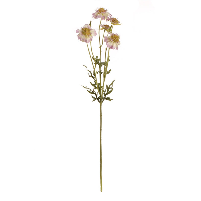 Napa Home Garden, WILD SCABIOSA STEM 24" LILAC,gp227prl