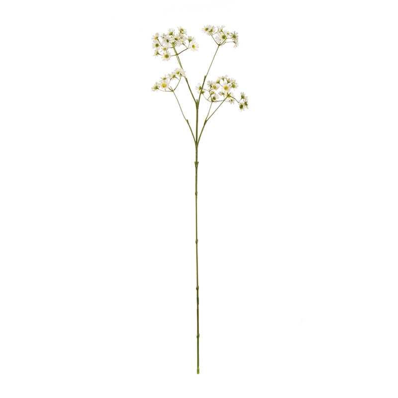 Napa Home Garden, WILD CHAMOMILE STEM 24.5",gp245