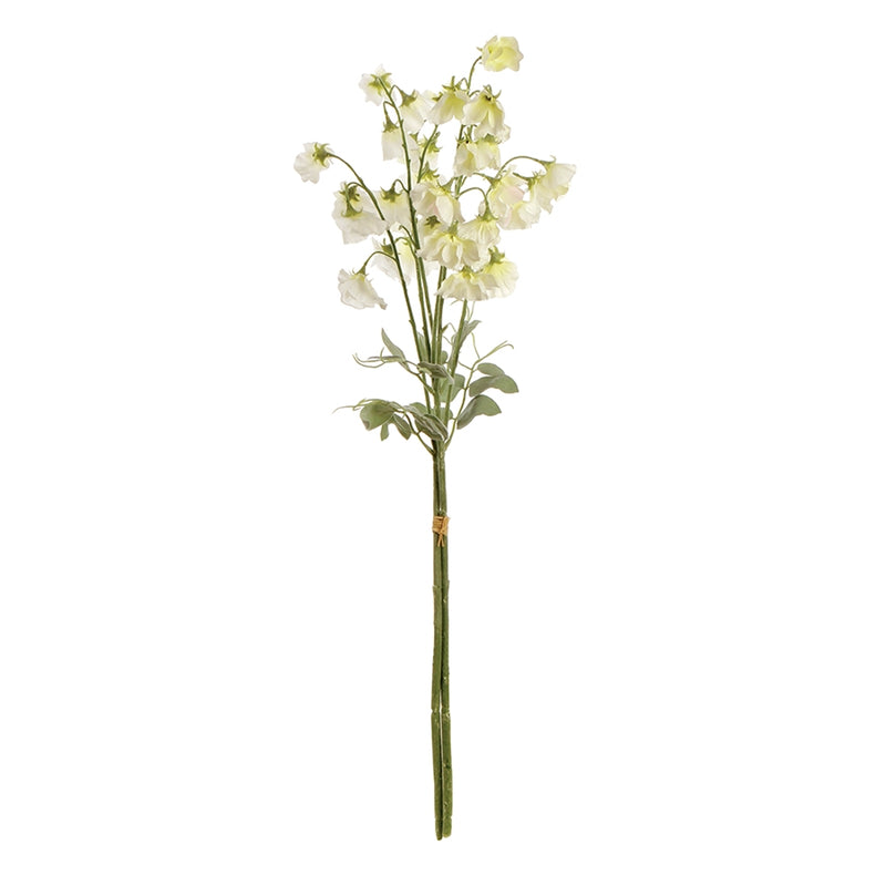 Napa Home Garden,  SWEET PEA STEMS BNDL/2 CREAM/GREEN,gp249cr