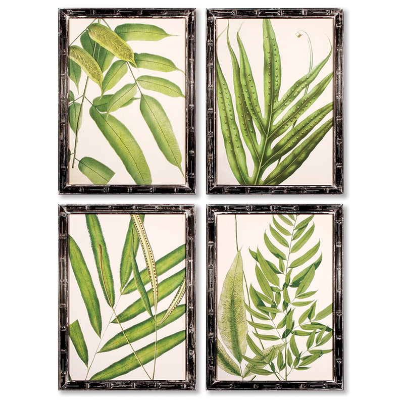 Napa Home Garden, TROPICAL LEAF PRINTS ,SET OF 4,hc149