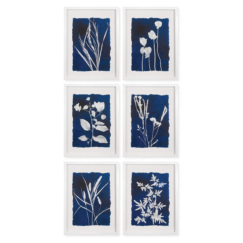 Napa Home Garden, WILDFLOWER CYANOPRINTS ,SET OF 6,hc156