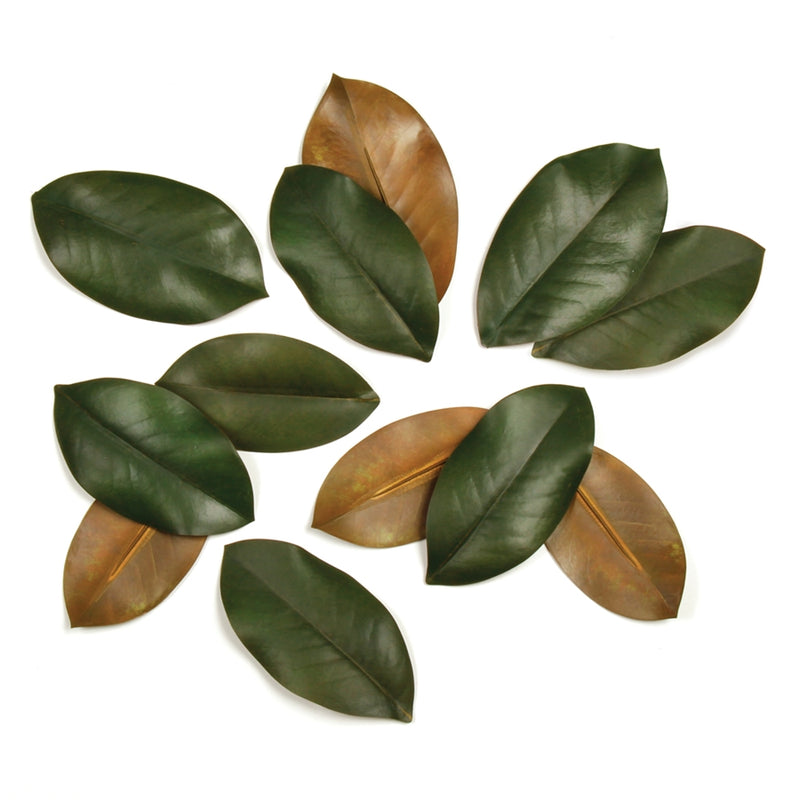 Napa Home Garden, GRAND MAGNOLIA LEAVES IN BOX S/12,k103