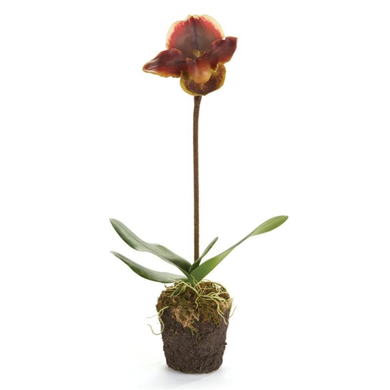 Napa Home Garden, LADY SLIPPERS 20" DROPIN BURGUNDY,k109brd