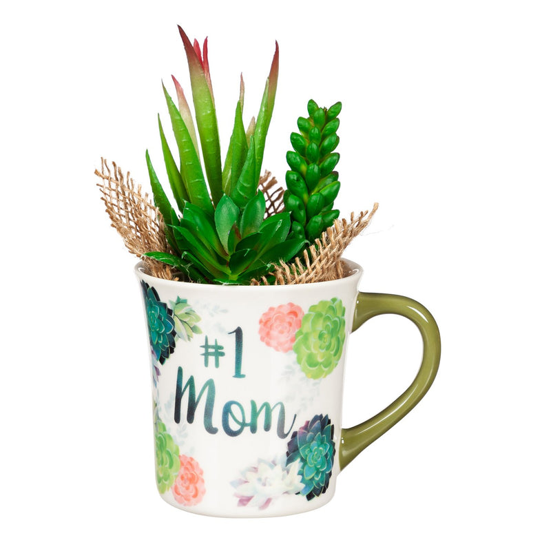 Evergreen Coffee Cup and Succulent  Gift Set, 8 OZ,
