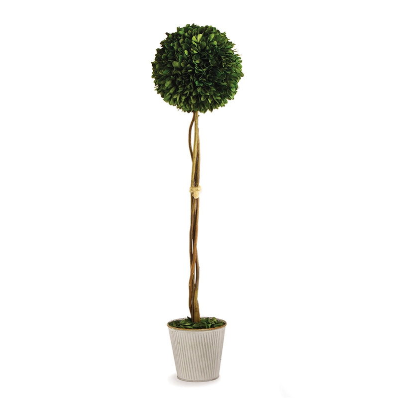 Napa Home Garden, PG 26" SNGL BALL TOPIARY IN GLV POT,pg202