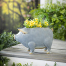 Grey Metal Pig Planter,pha207