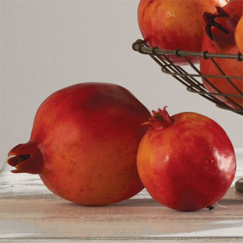 Napa Home Garden,  POMEGRANATE 3.25",w1000