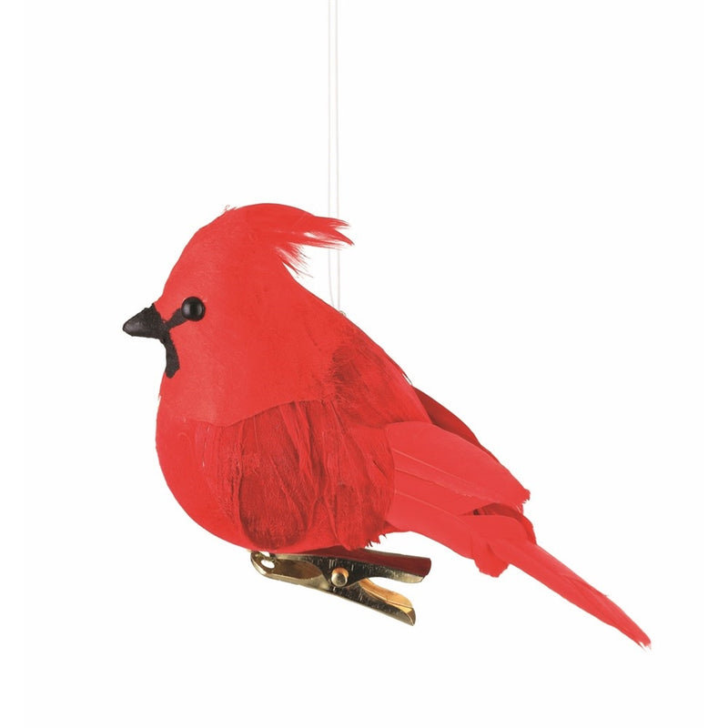 Cardinal Feather Orn Nesting
