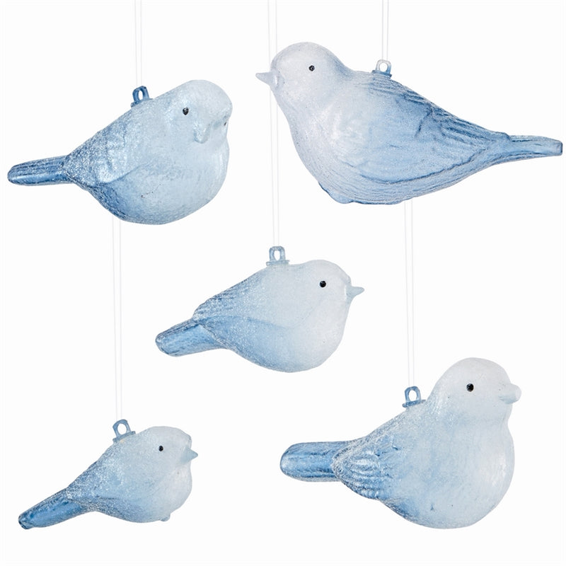 Glass Frosty Bird Ornaments , Set of 5