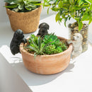 Set of 3 Pot Hanger, Painted Dogs,zh84g3468b