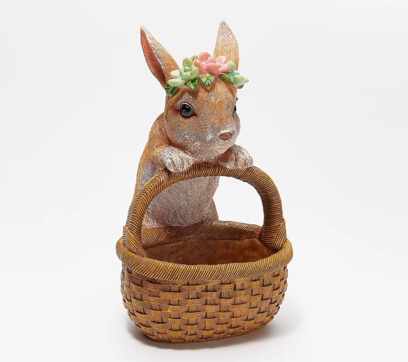 Succulent Planter Basket, , Rabbit,zq84g2744