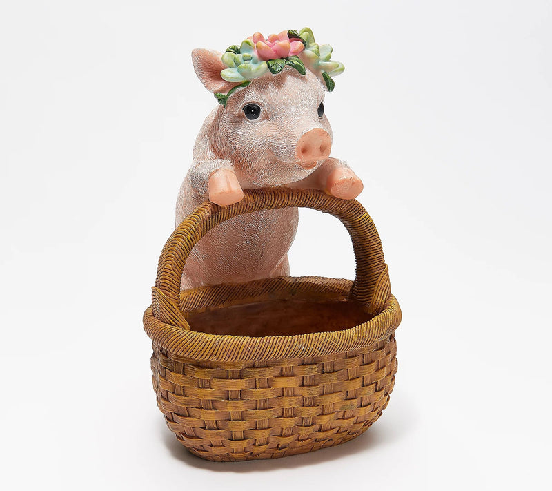 Succulent Planter Basket, , Pig,zq84g2745